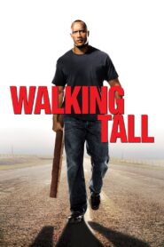 Khi Cựu Binh Trở Về – Walking Tall